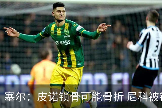 塞尔：皮诺锁骨可能骨折 尼科被铲伤可能提前结束世界杯之旅