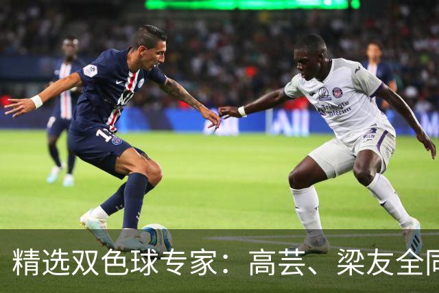 精选双色球专家：高芸、梁友全同中二等279万！