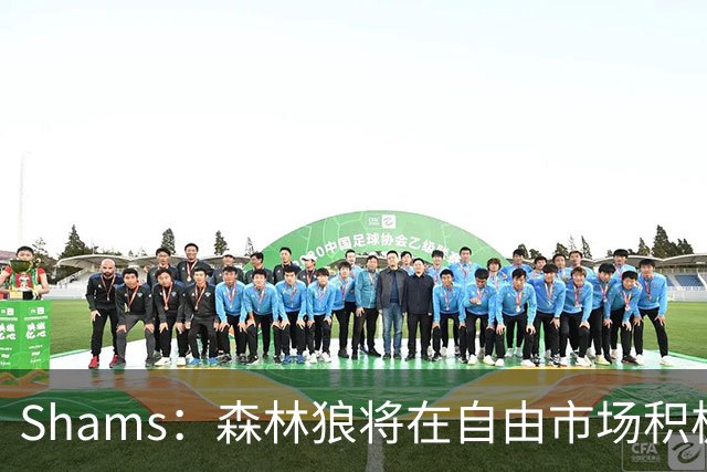 Shams：森林狼将在自由市场积极补强4号位 但他们只能提供底薪